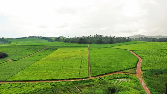 Vacant Land for Sale in Ranidanga