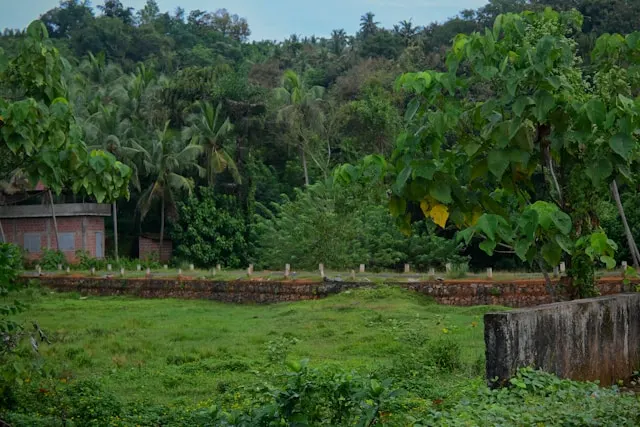 2 Katha Vacant Land for Sale in Salugara Near Bengal Safari